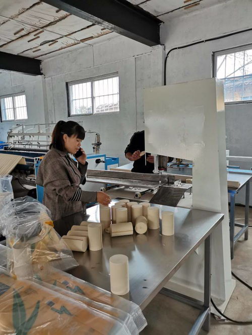 辦衛(wèi)生紙加工廠所需人工及個人衛(wèi)生用品銷售策略